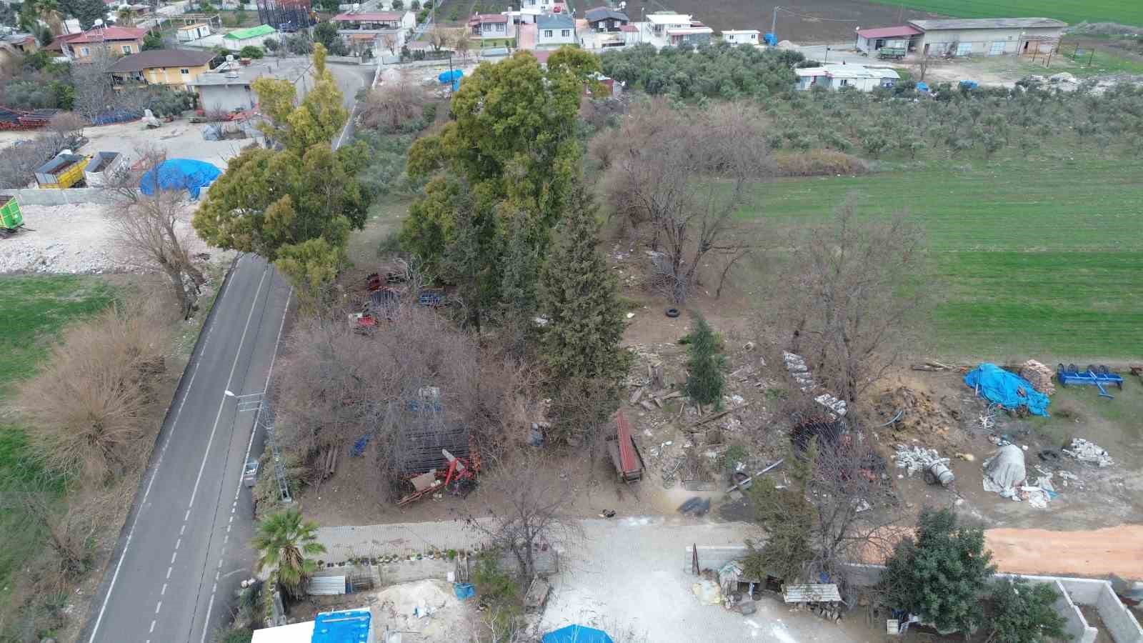 Kuş vebası görülen mahallede 338 kanatlı hayvan itilaf edildi