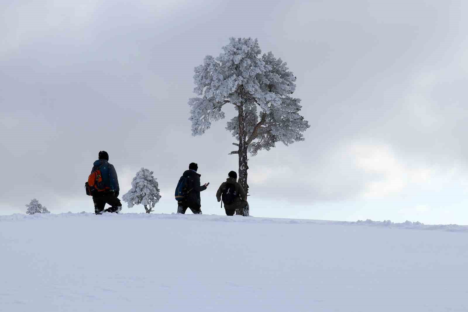 Gümüşhane’de 20 doğaseverden 1,5 metrelik karda 7 saatlik doğa yürüyüşü
