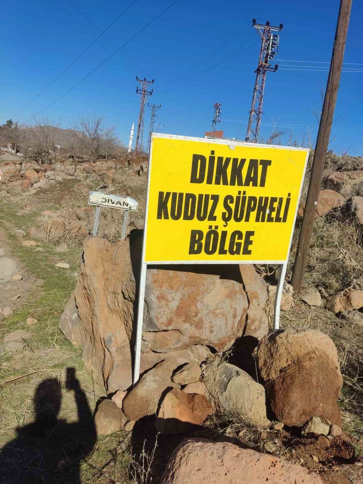 Siverek&rsquo;te kuduz alarmı: K&ouml;pek saldırısında 3 kişi yaralandı, k&ouml;y karantinaya alındı
