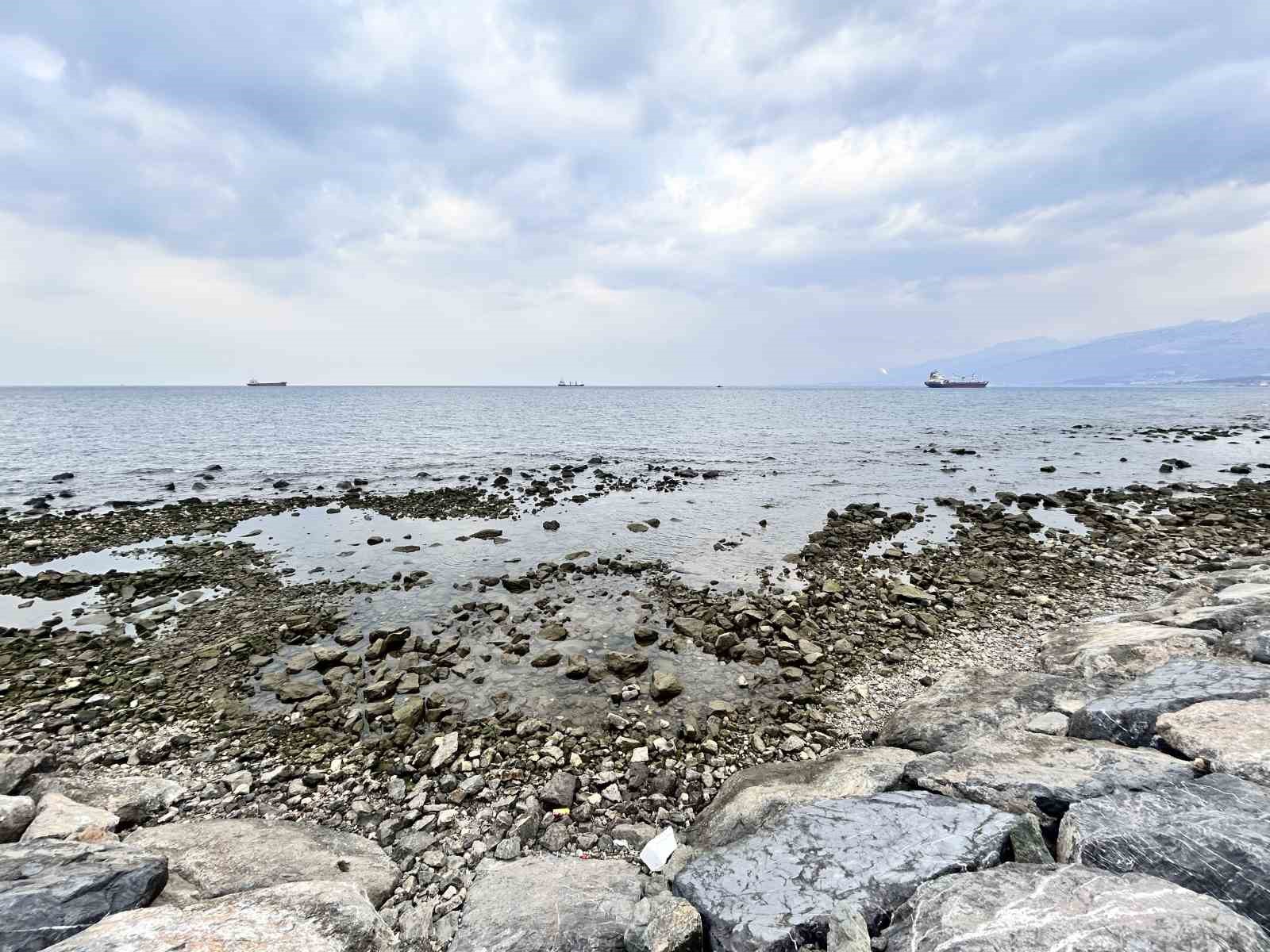 İskenderun Körfezi’nde denizde çekilme yaşandı
