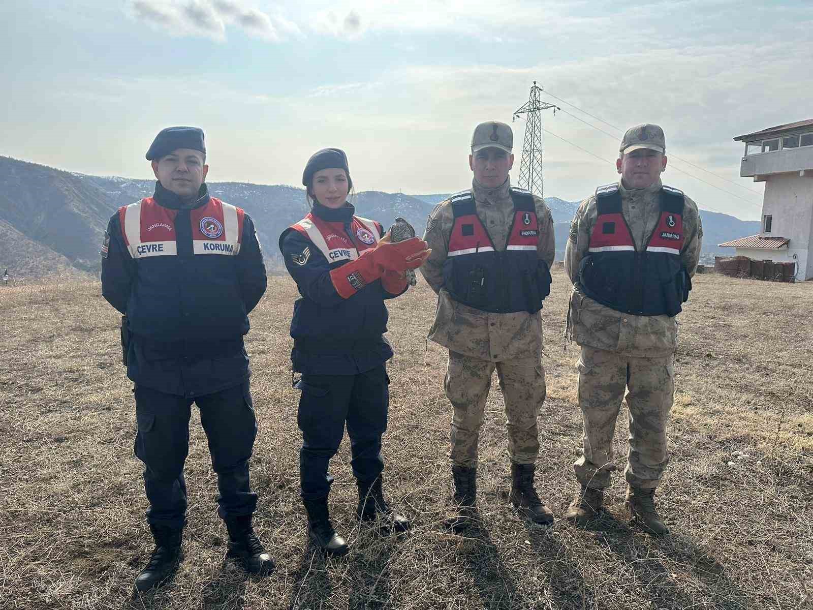 HAYDİ ekibi tarafından bulunan yaralı atmaca DKMP&rsquo;ye teslim edildi
