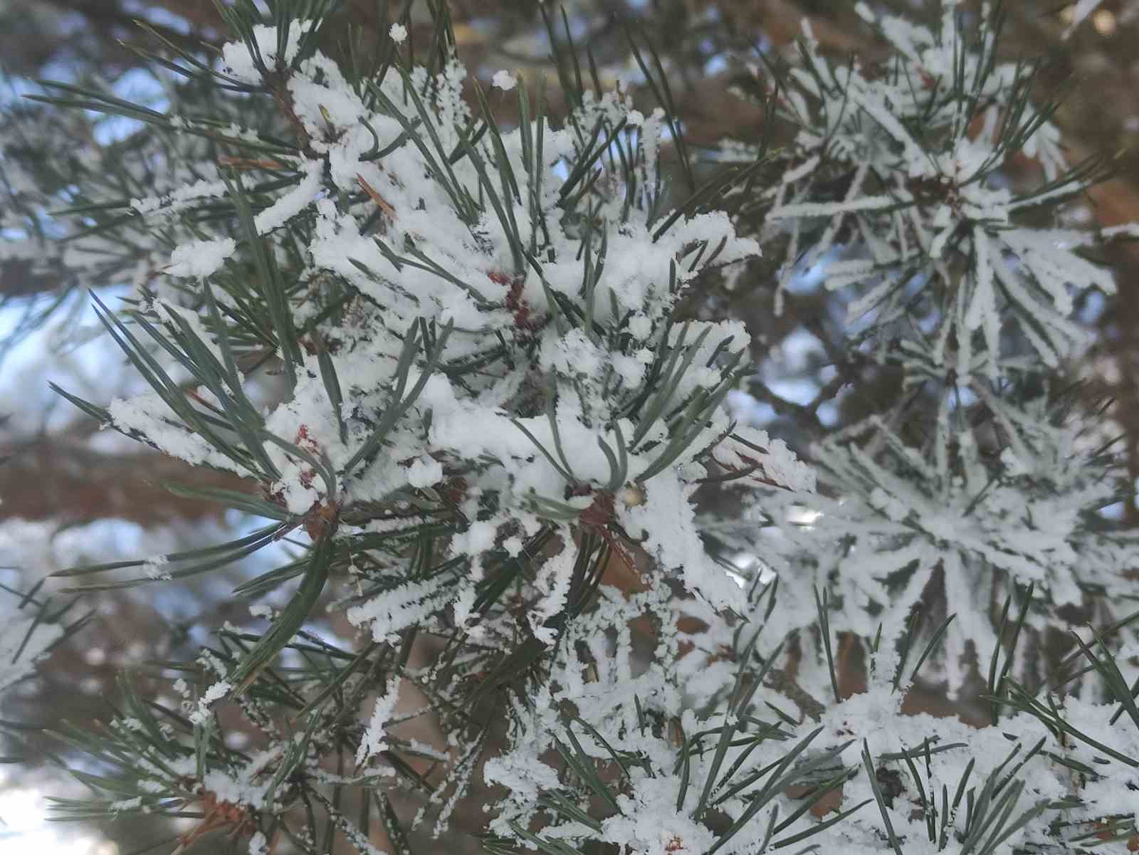Ardahan&rsquo;da dondurucu soğuklar h&uuml;k&uuml;m s&uuml;r&uuml;yor
