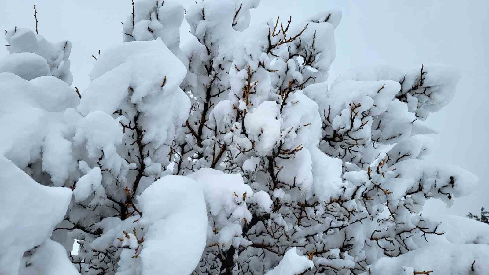 Yalancı bahara aldanıp &ccedil;i&ccedil;ek a&ccedil;an bademler karla kaplandı
