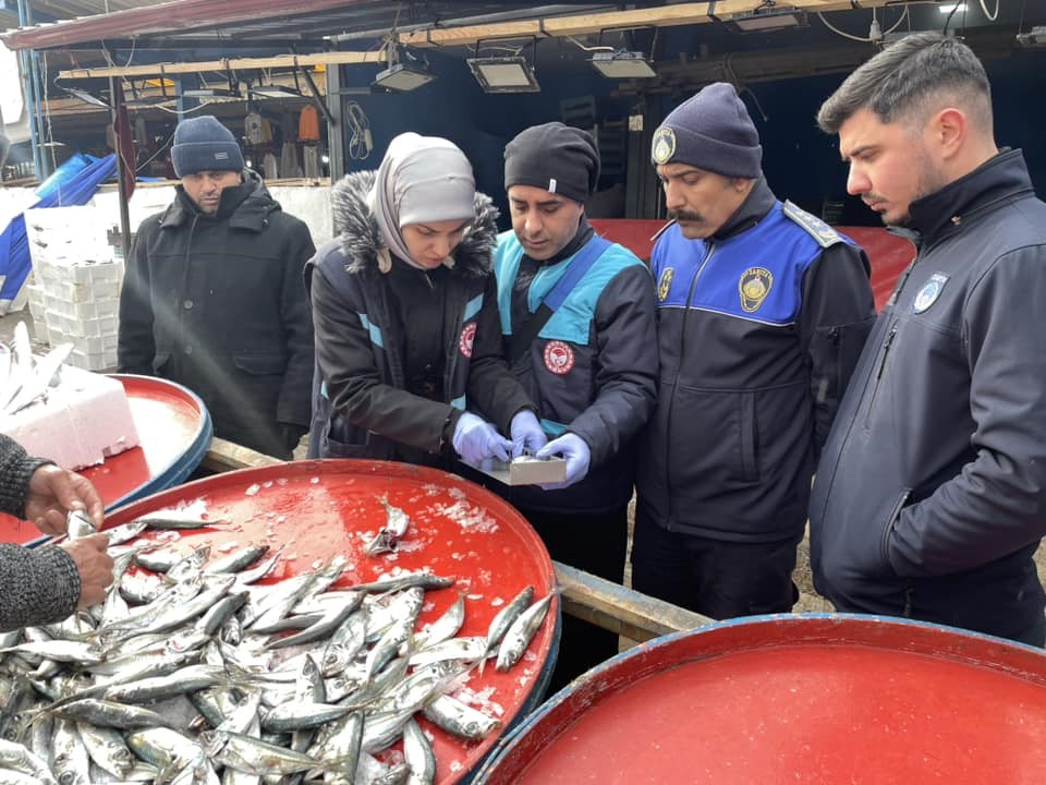 Osmaneli balık pazarında denetim