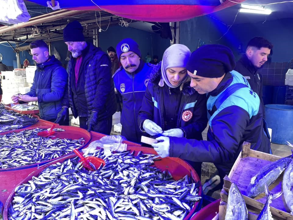 Osmaneli balık pazarında denetim
