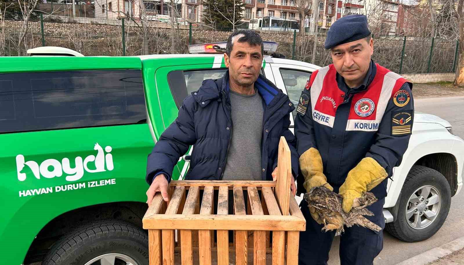 Jandarma, yaralı baykuşa elleriyle su verdi
