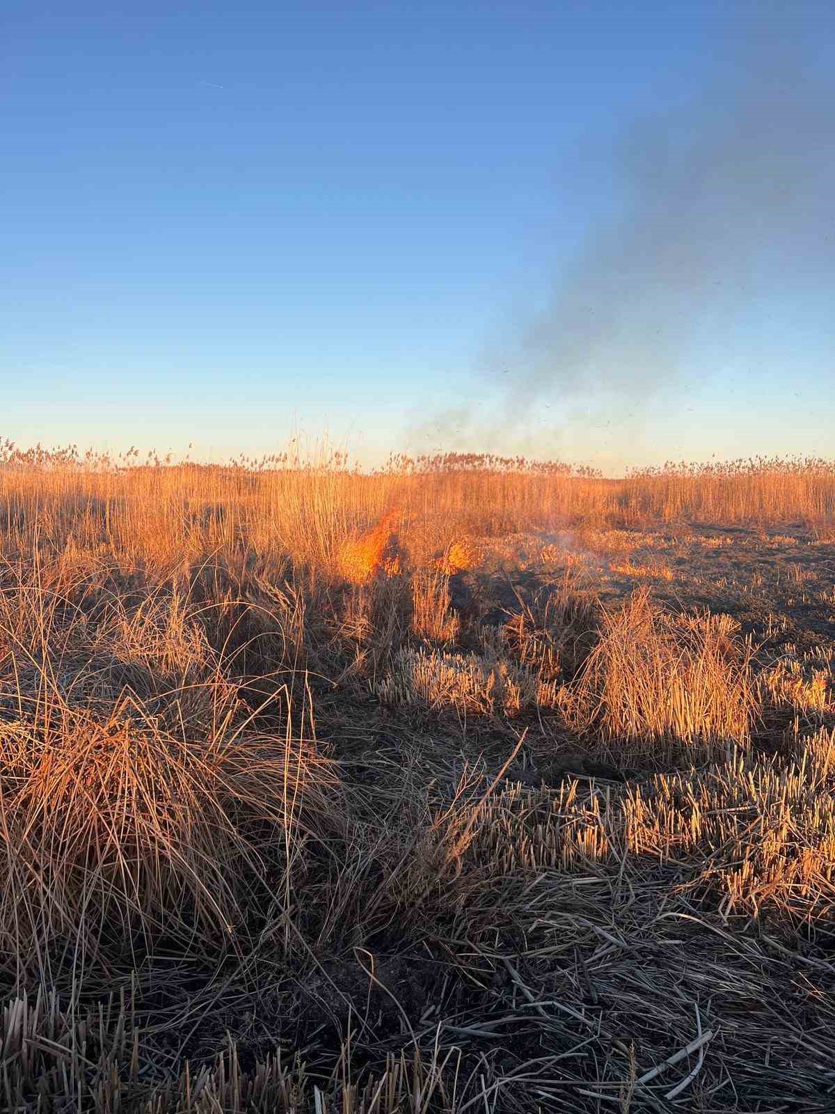 Eber Gölü’nü yakmaya çalışan 5 kişiye yaklaşık 3 milyon TL para cezası kesildi
