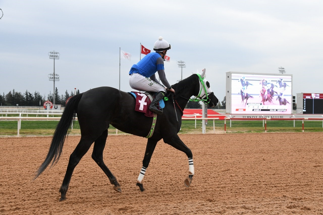 Osmaniye Belediye Başkanlığı Koşusu&rsquo;nu &lsquo;Silent Lightning&rsquo; kazandı
