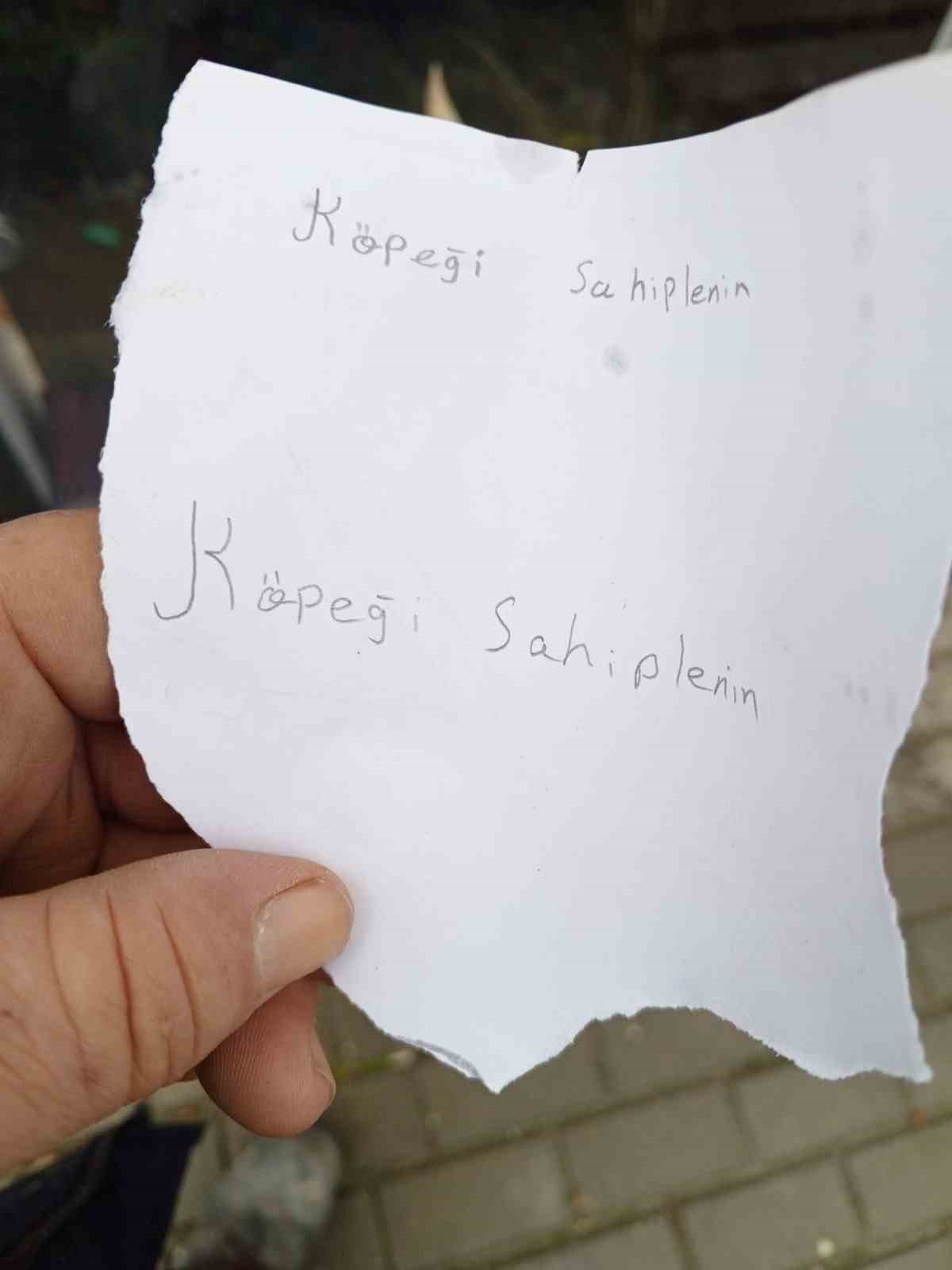 Yavru k&ouml;pek soğukta "Sahiplenin" notuyla durağa bırakıldı
