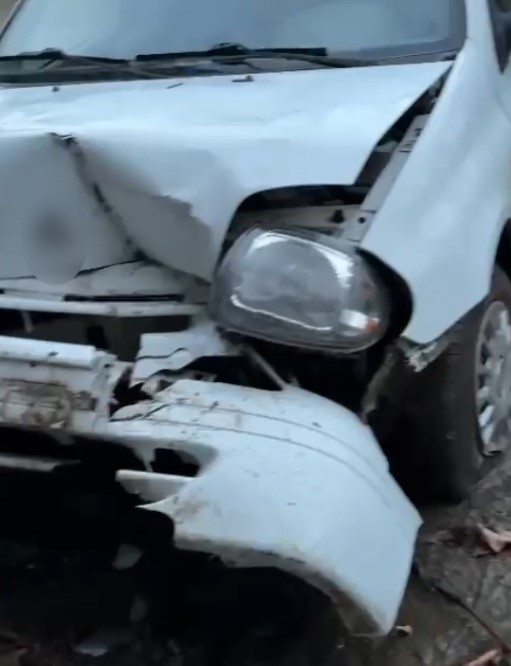 Evin bah&ccedil;esine u&ccedil;an ara&ccedil; k&ouml;pek kul&uuml;besini par&ccedil;aladı
