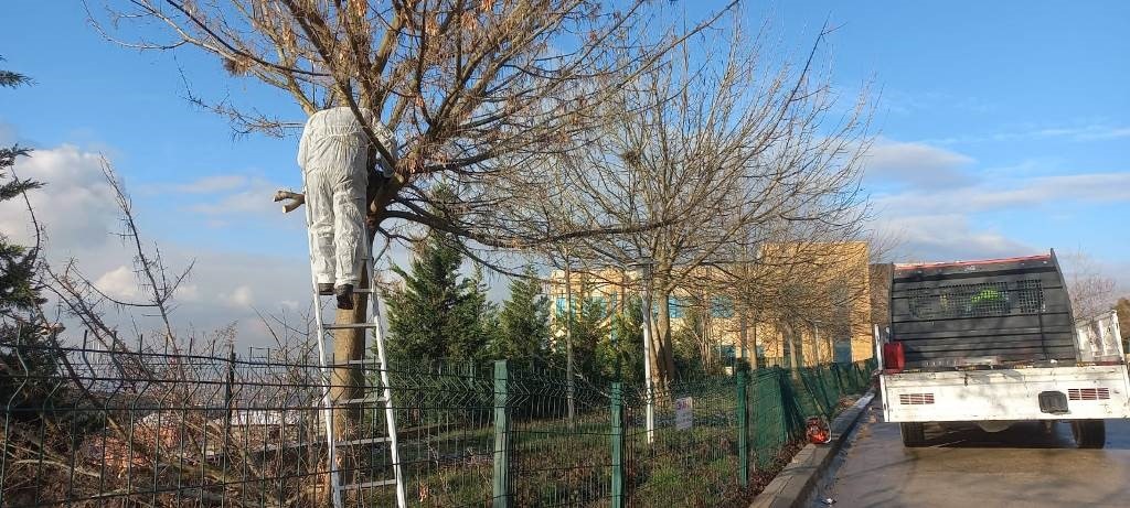 Hastane bahçesine estetik görünüm
