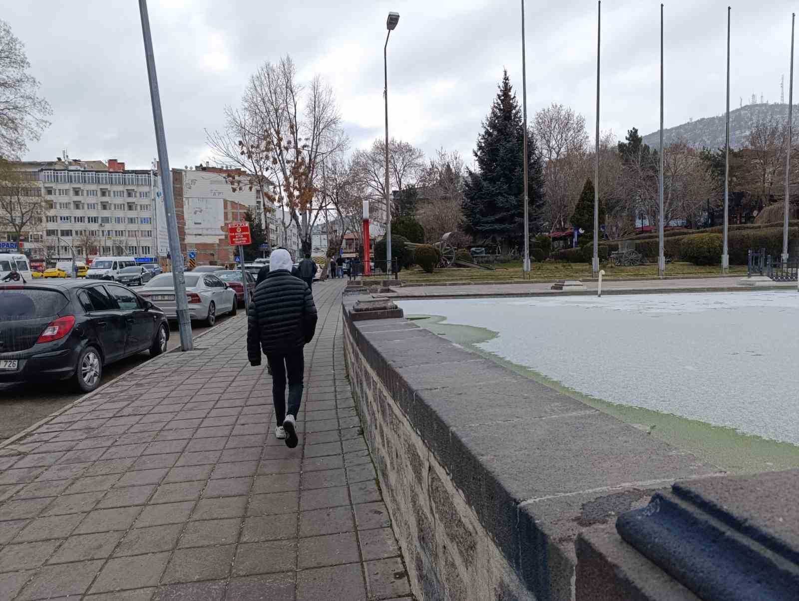 Afyonkarahisar&rsquo;da soğuk havadan dolayı s&uuml;s havuzları buz tuttu
