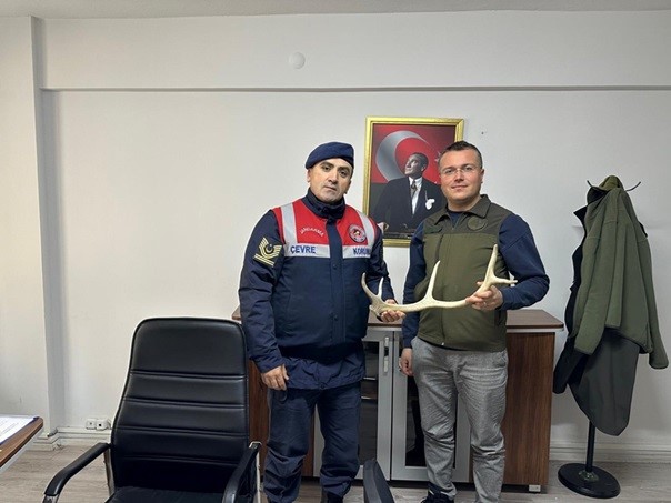 Geyik boynuzu satan şahıs jandarma tarafından yakalandı