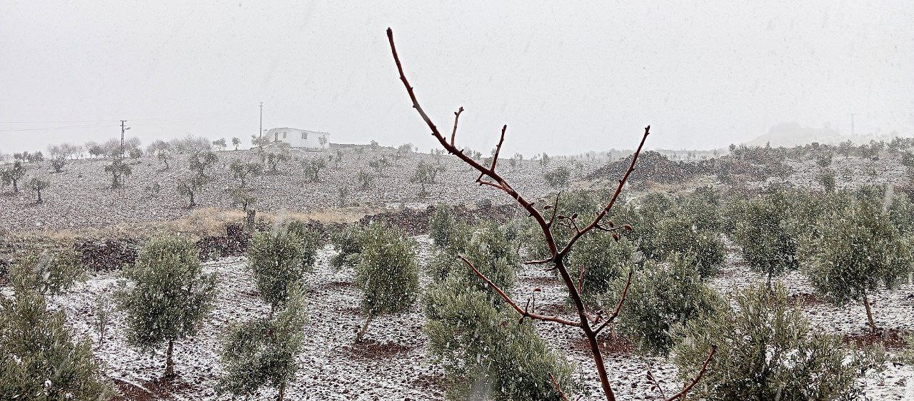 Kilis’te kar sevinci
