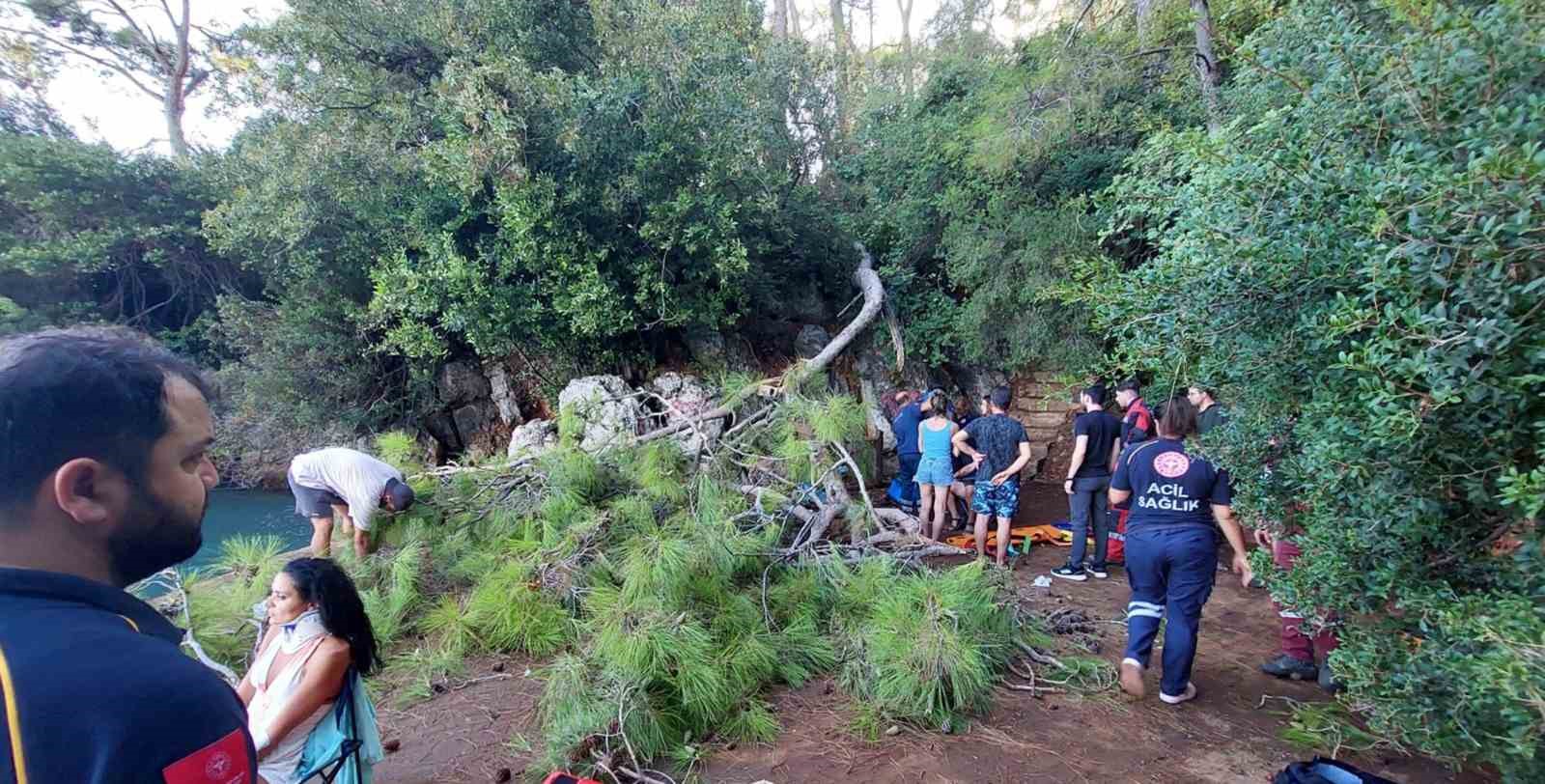 Orman kampındaki yaşlı, tehlike ve risk oluşturan ağaçlar kesiliyor