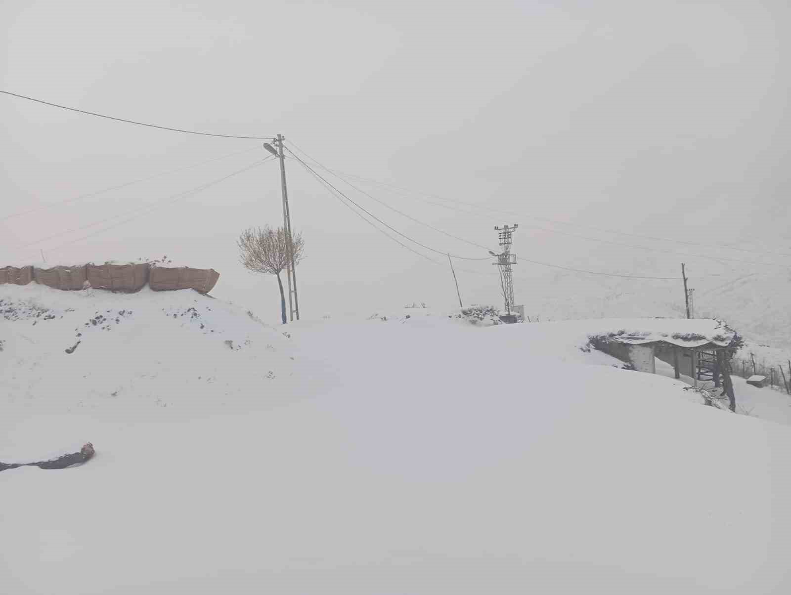 Sason’da okullar kar yağışı nedeniyle 1 gün tatil edildi