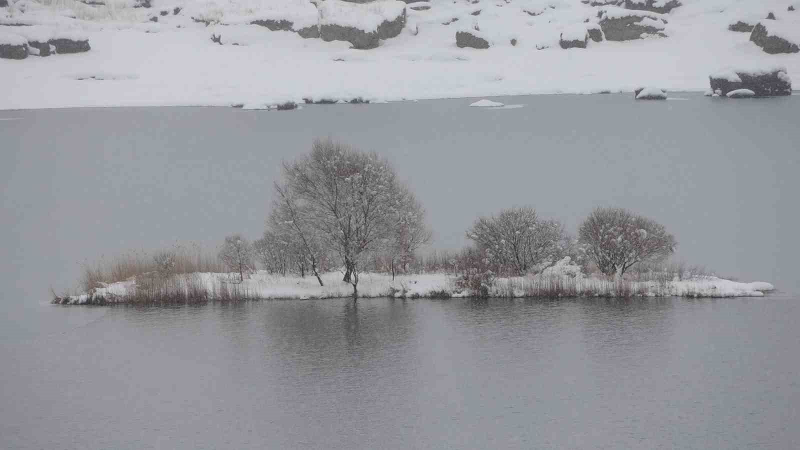 Buz tutan Çat Barajı’ndaki yüzen adalar beyaza büründü