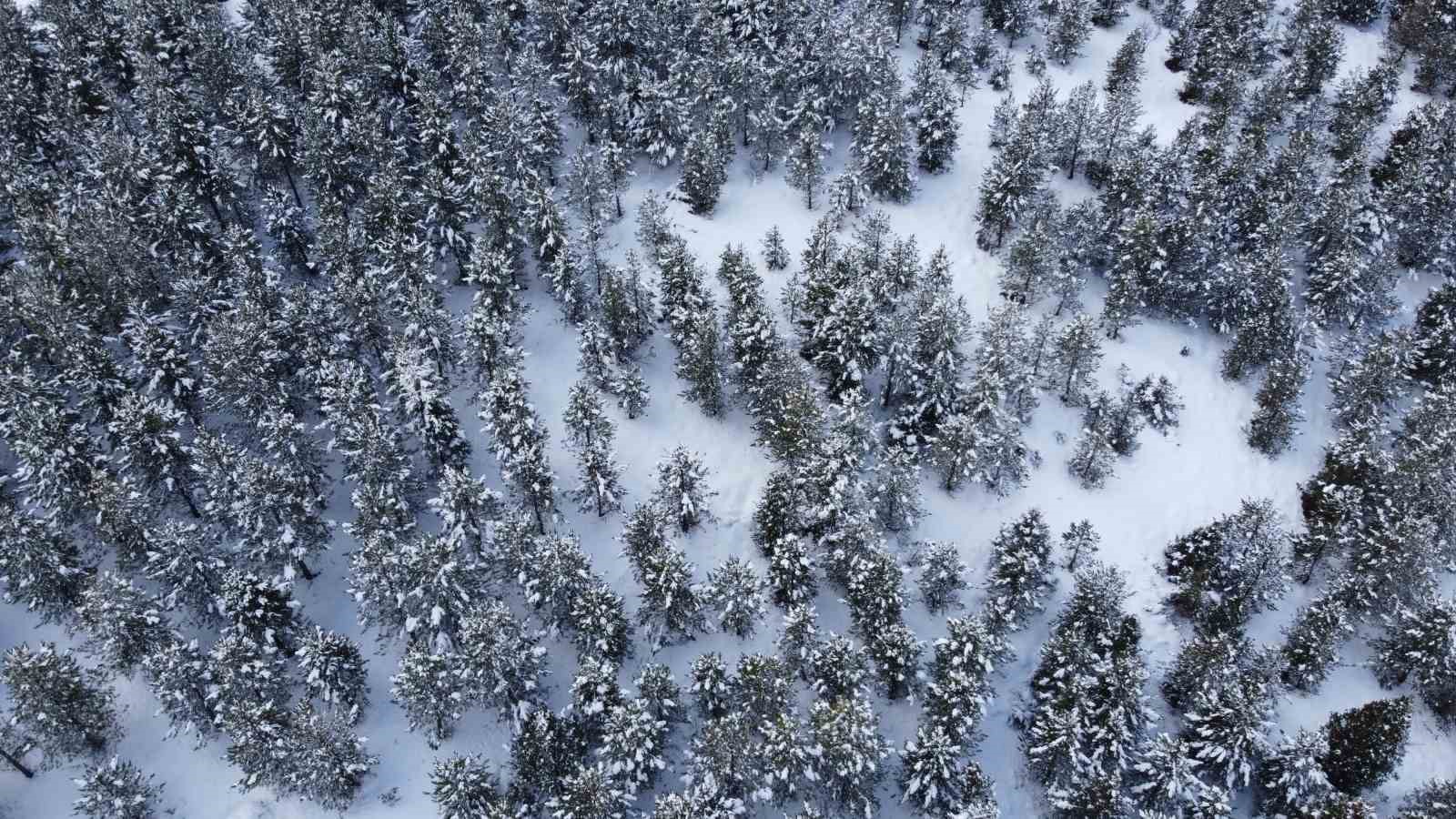 Adana’da kar yolları kapattı, kartpostallık görüntü oluşturdu