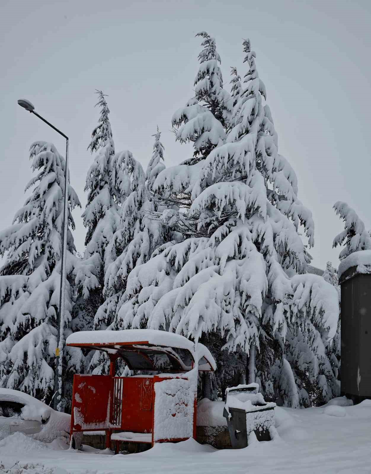 Sincik’te kartpostallık görüntüler oluştu
