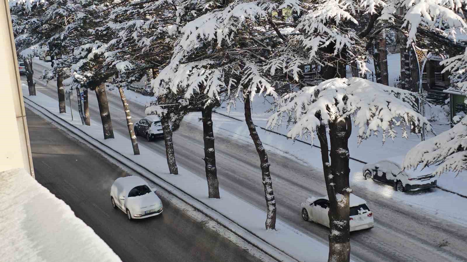Tatvan’da kar yağışı: 40 köy yolu ulaşıma kapandı
