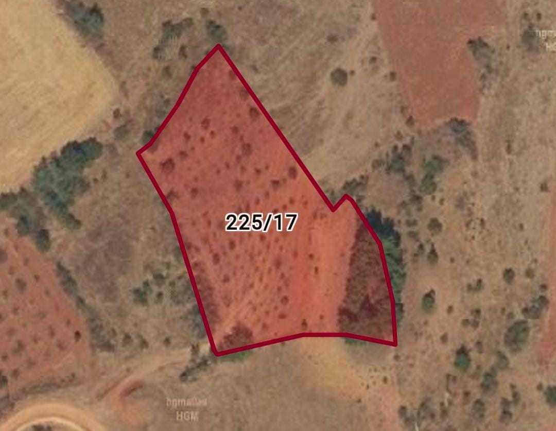 Denizli’de 9 yıldır sit alanı olarak koruma altına alınan arazide mülk sahibinin ağaç kesme başvurusu ile gerçek ortaya çıktı