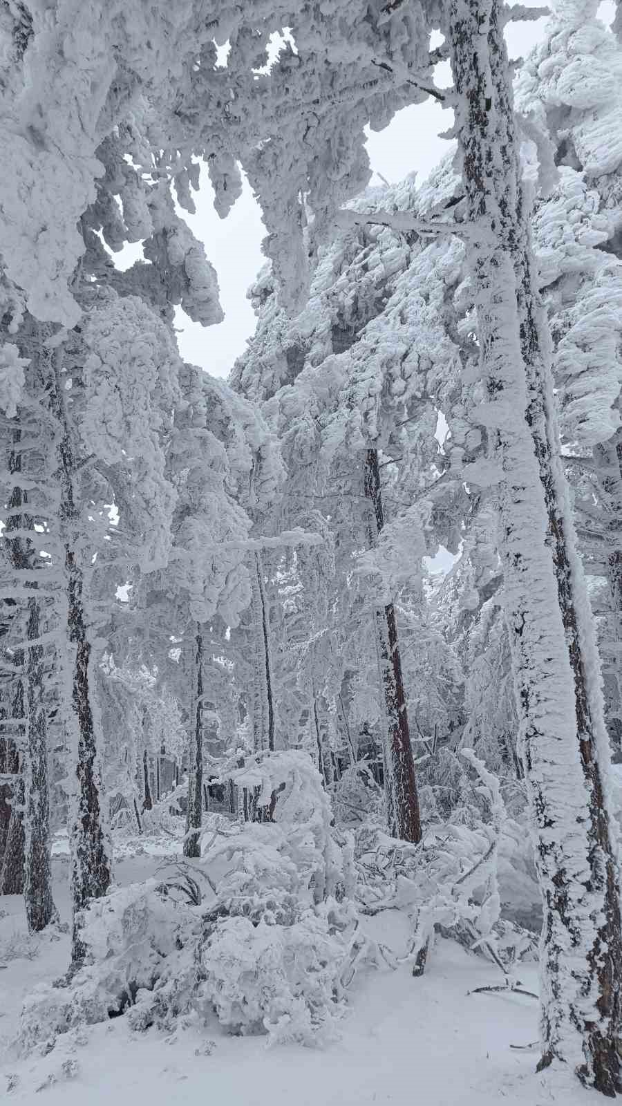 Spil&rsquo;de eşsiz manzara
