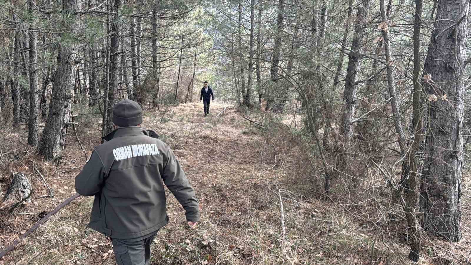 Bolu’da ormanlık alanda örtü yangını çıktı: 1 dönüm zarar gördü
