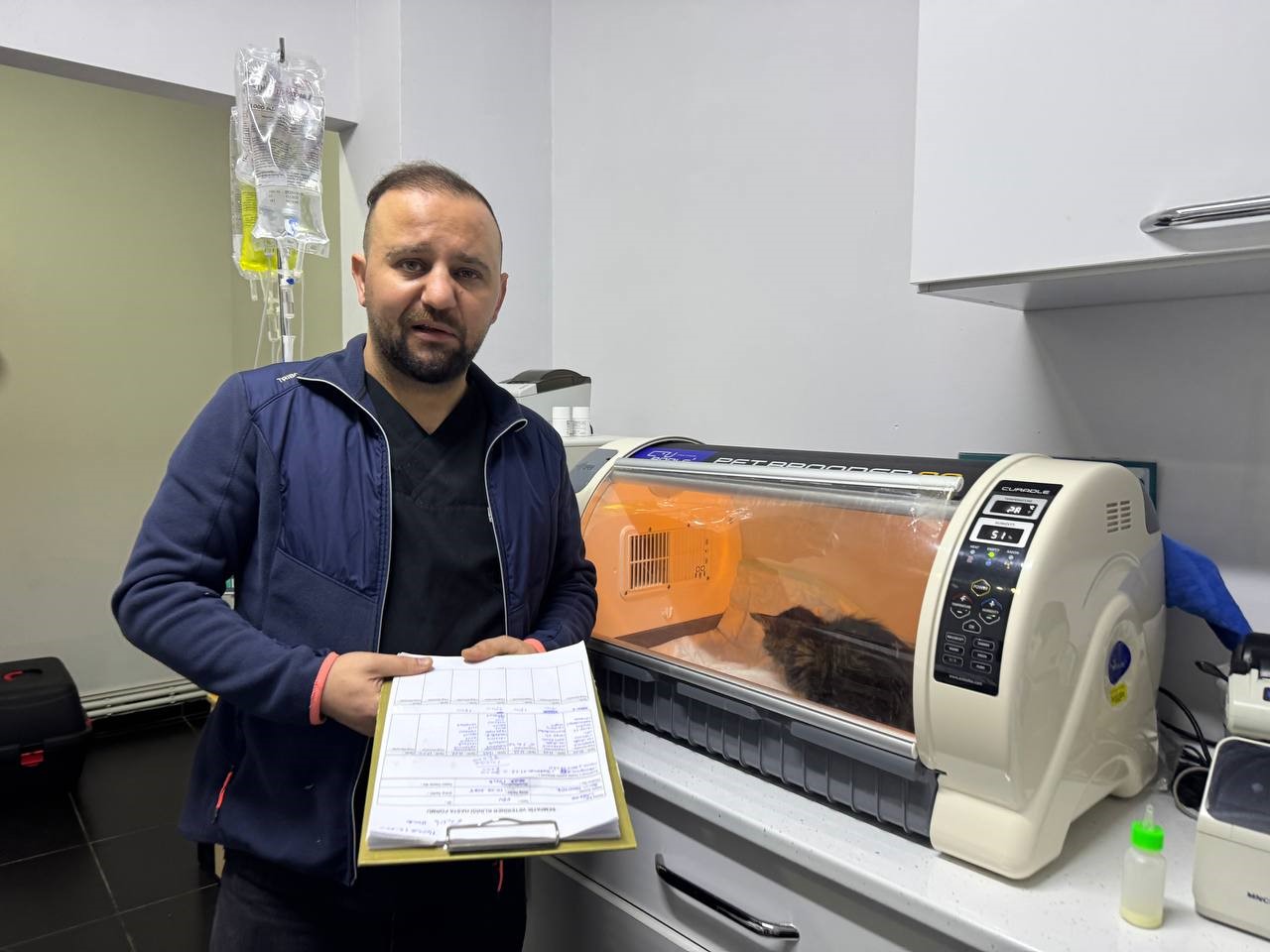 Sokakta bulunan hamile kedi ameliyatla kurtarıldı
