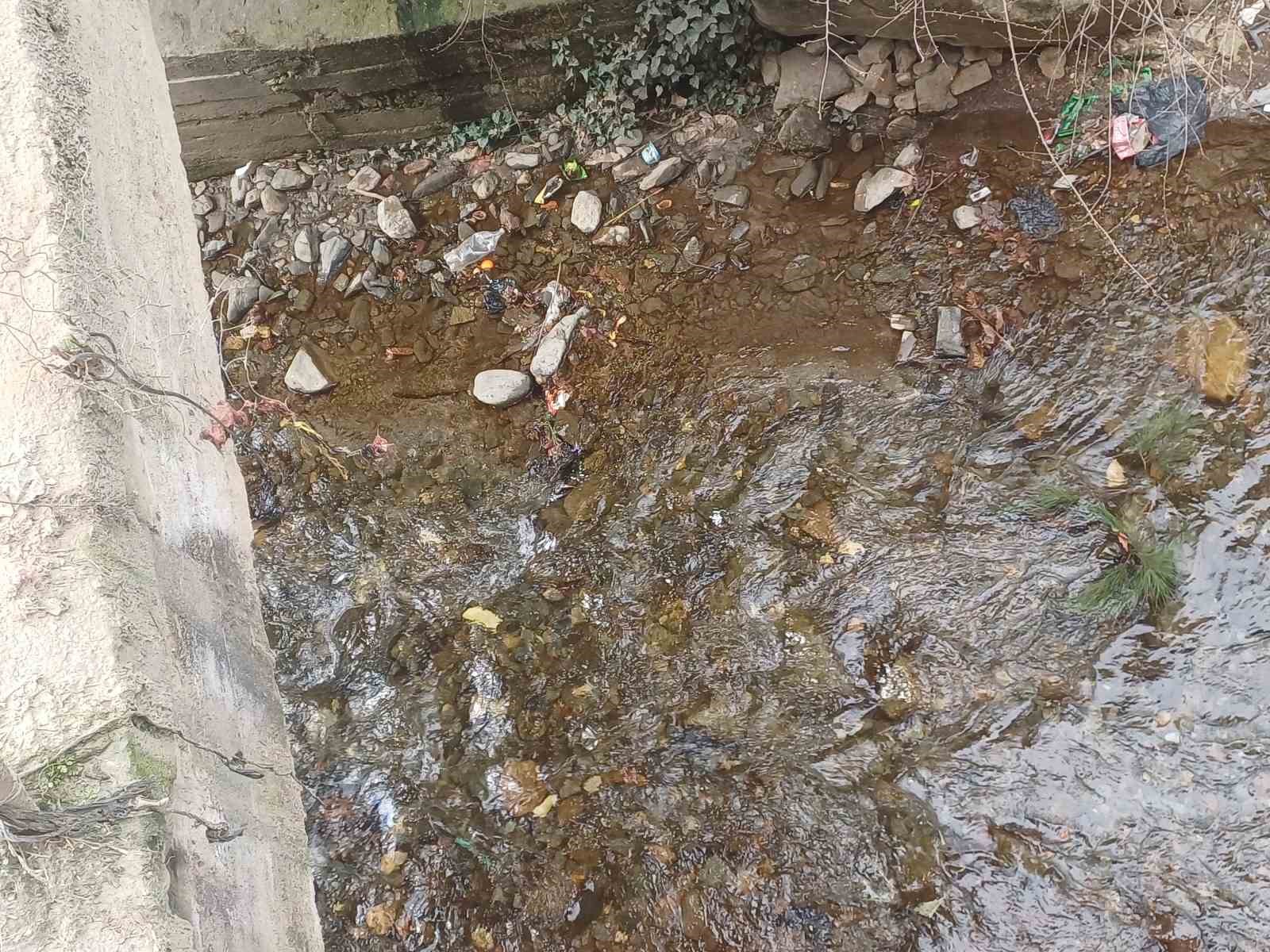 K&ouml;şk Baş&ccedil;ayır Mahallesi&rsquo;ndeki k&ouml;pr&uuml; tehlike sa&ccedil;ıyor
