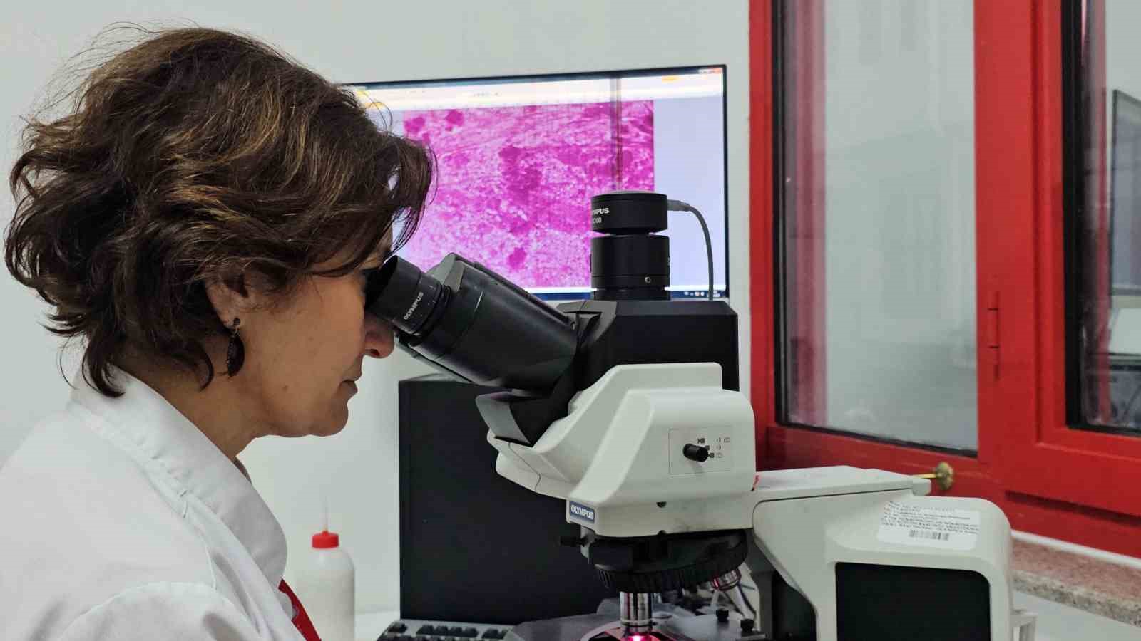 Kontrolsüzce çevreye bırakılan etler "kist hidatik enfeksiyonunun’ yayılmasına neden oluyor