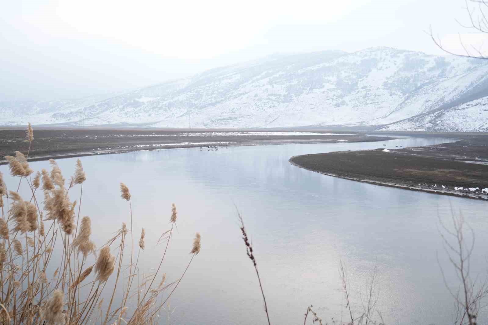 Muş&rsquo;ta leylekler dondurucu soğuklara rağmen g&ouml;&ccedil; etmedi
