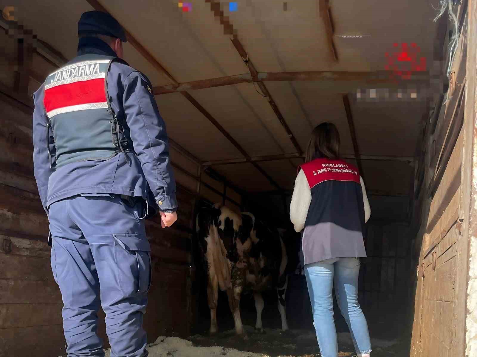 Pehlivanköy’de hayvan taşıyan araçlar denetlendi