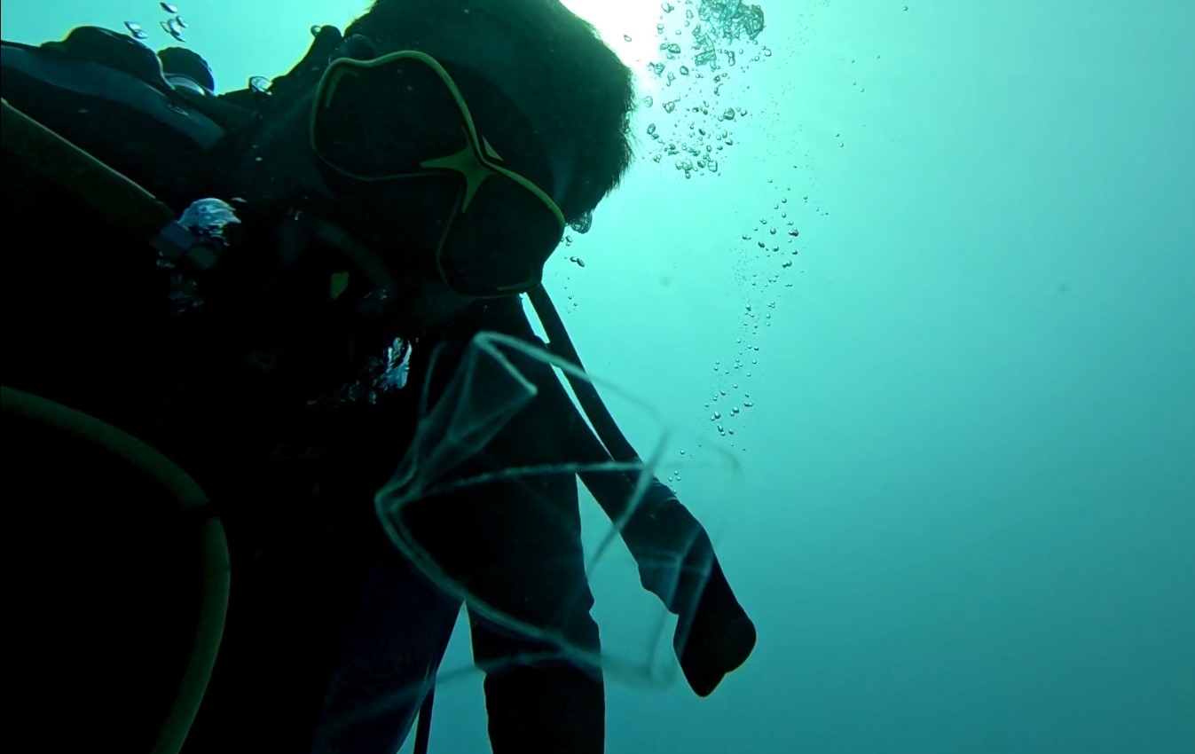 Antalya Körfezi’nde ilk kez görüntülere yansıdı: Sadece berrak suda görülebiliyor