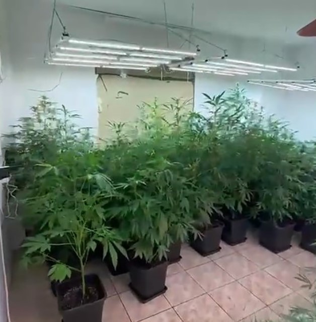 Beykoz’da uyuşturucu kokusu gelen eve operasyon: 2 kişi yakalandı