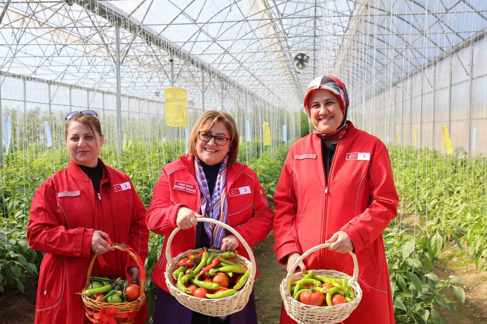 Başkan Şahin Cerablus’ta eğitimden tarıma birçok alanda incelemelerde bulundu