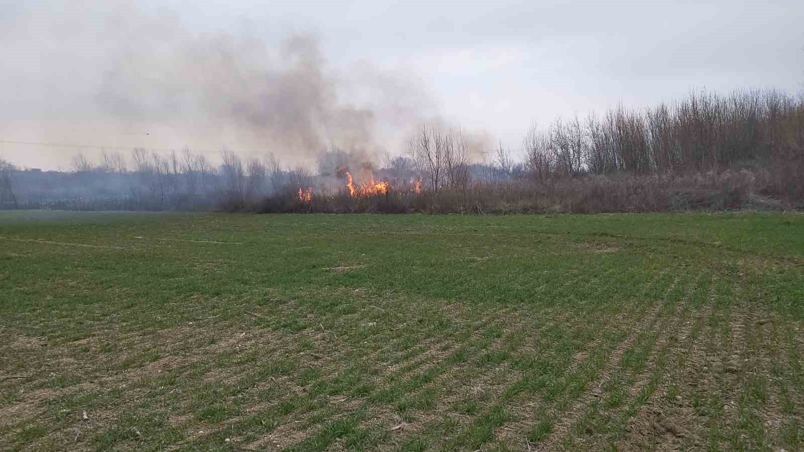 Kırklareli’nde otluk alanda yangın: 200 dekar alan zarar gördü