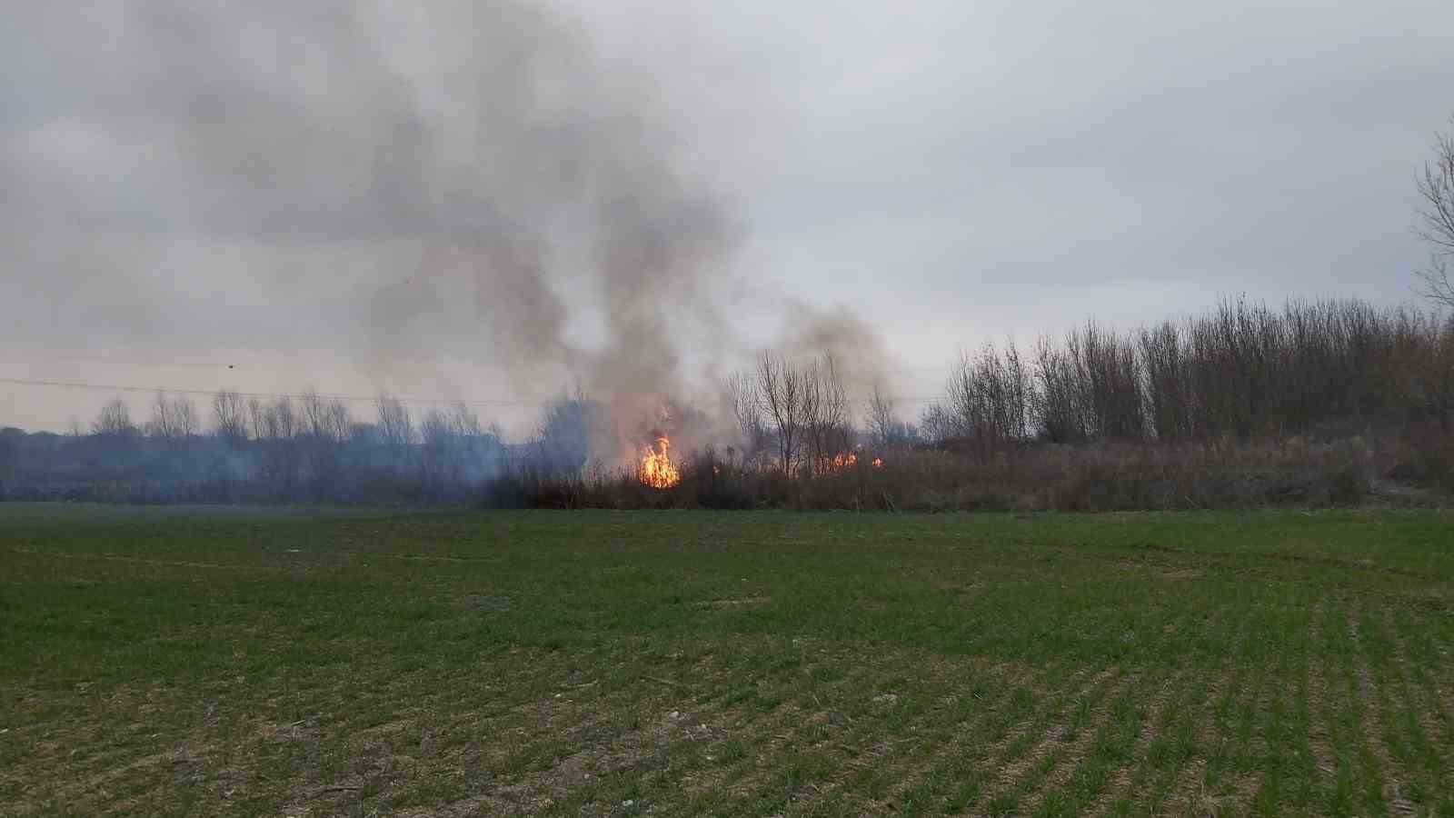 Kırklareli&rsquo;nde otluk alanda yangın: 200 dekar alan zarar g&ouml;rd&uuml;

