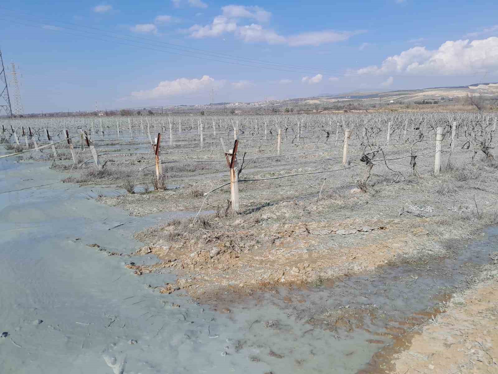 Alaşehir&rsquo;de &uuml;z&uuml;m bağı i&ccedil;inde korkutan patlama
