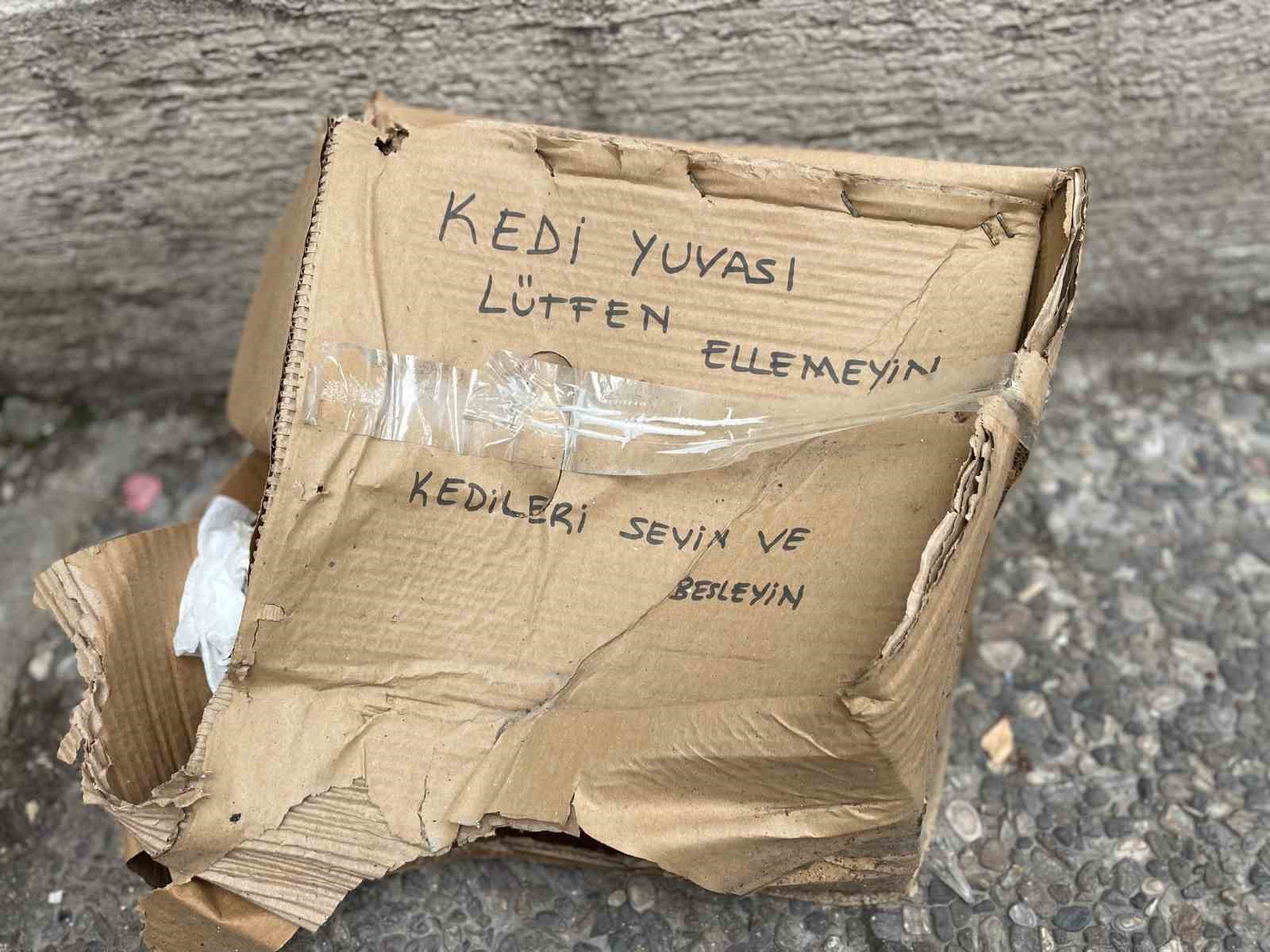 ‘Lütfen Ellemeyin’ notu da fayda etmedi: Kedi yuvası tahrip edildi