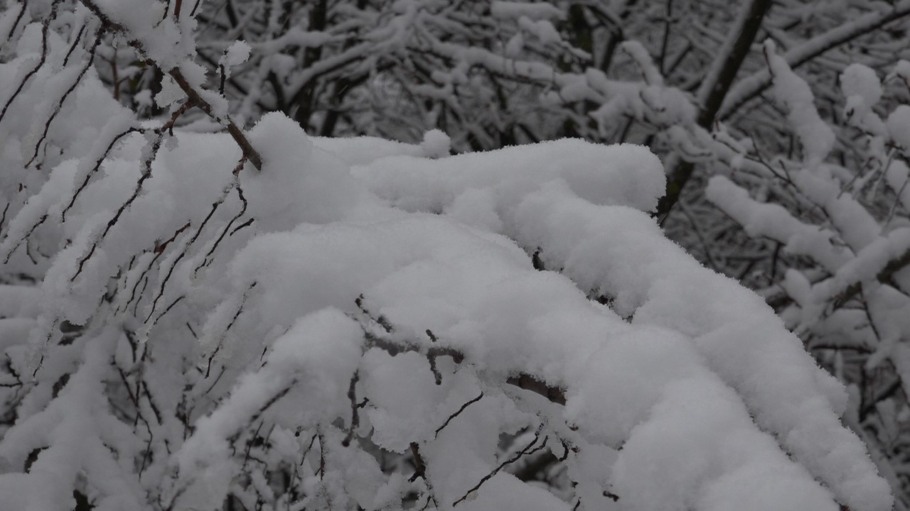 Kırklareli’nin yüksek kesimlerinde kar yağışı etkili oluyor