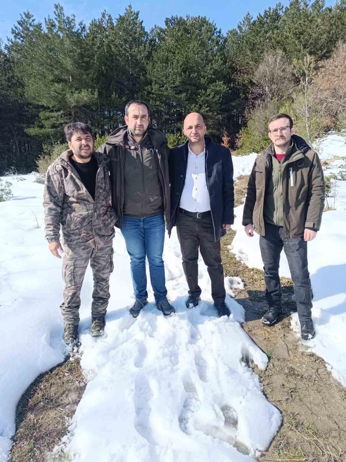 Kastamonu’da yaban hayvanları için doğaya yem ve yiyecek bırakıldı
