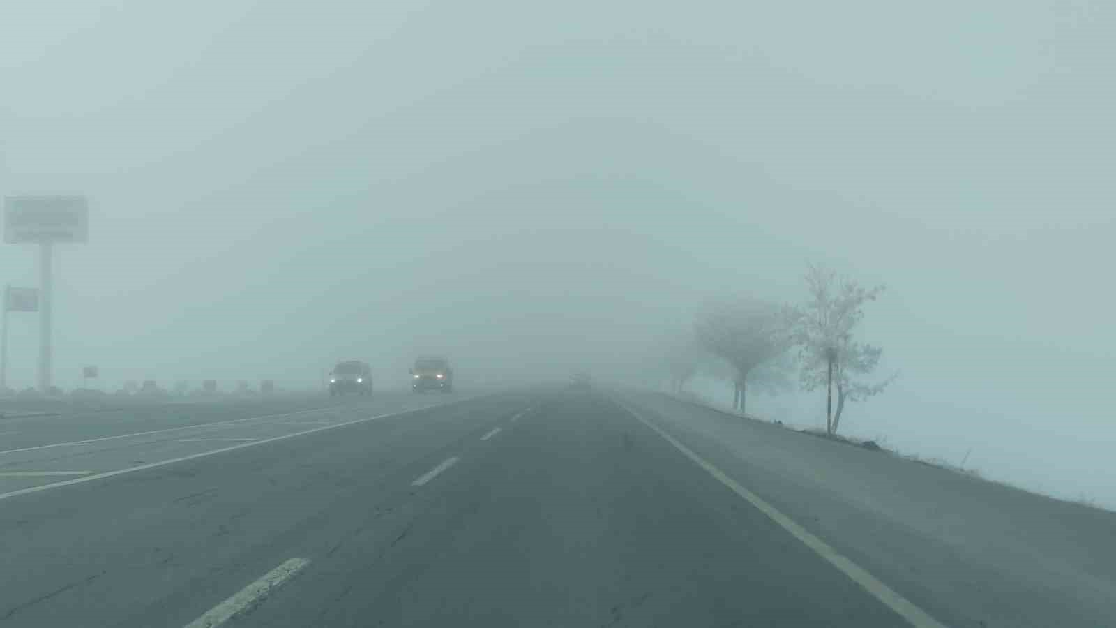 Bitlis’te sis etkili oldu, ağaçlar kırağı tuttu