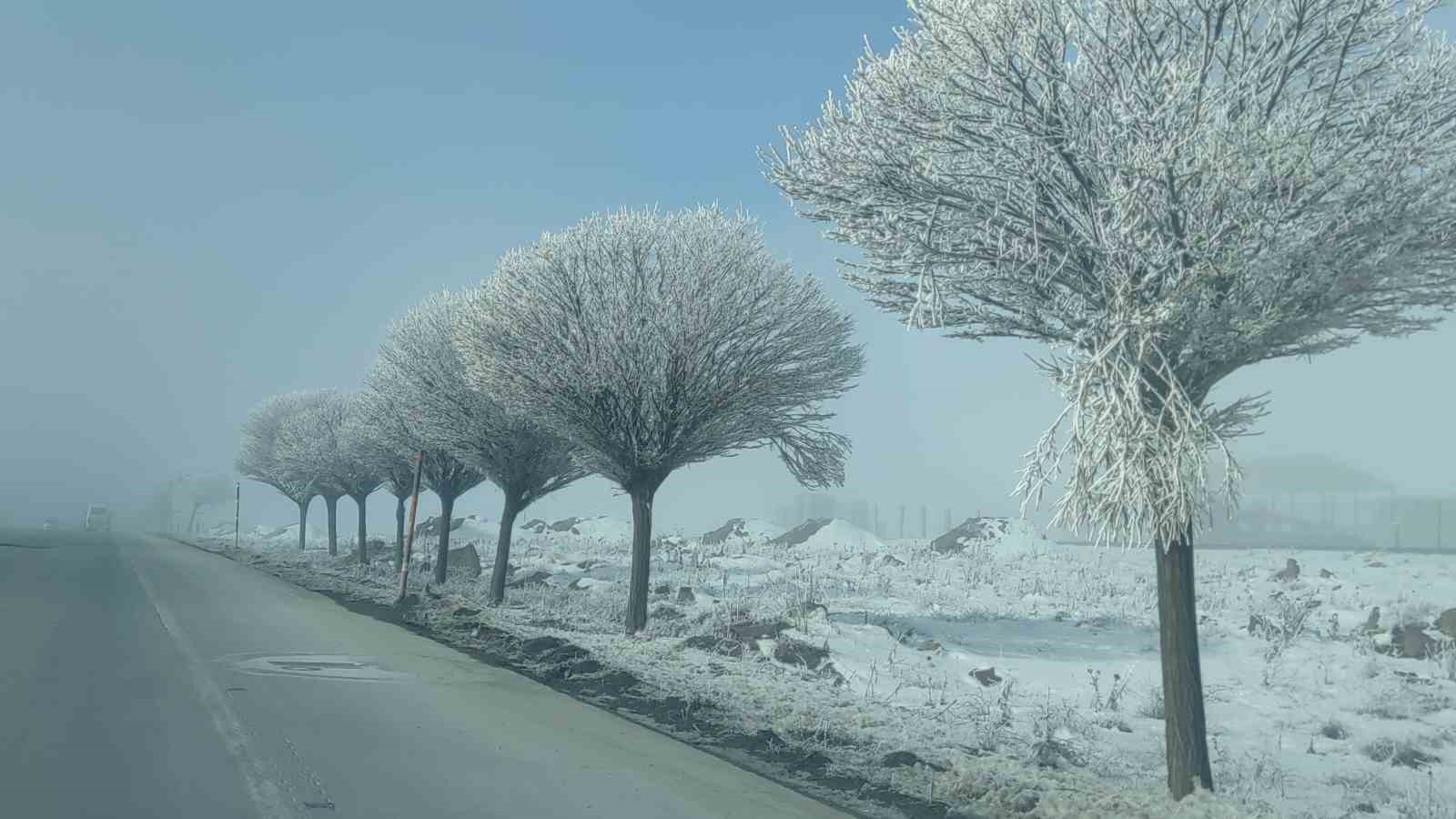 Bitlis&rsquo;te sis etkili oldu, ağa&ccedil;lar kırağı tuttu
