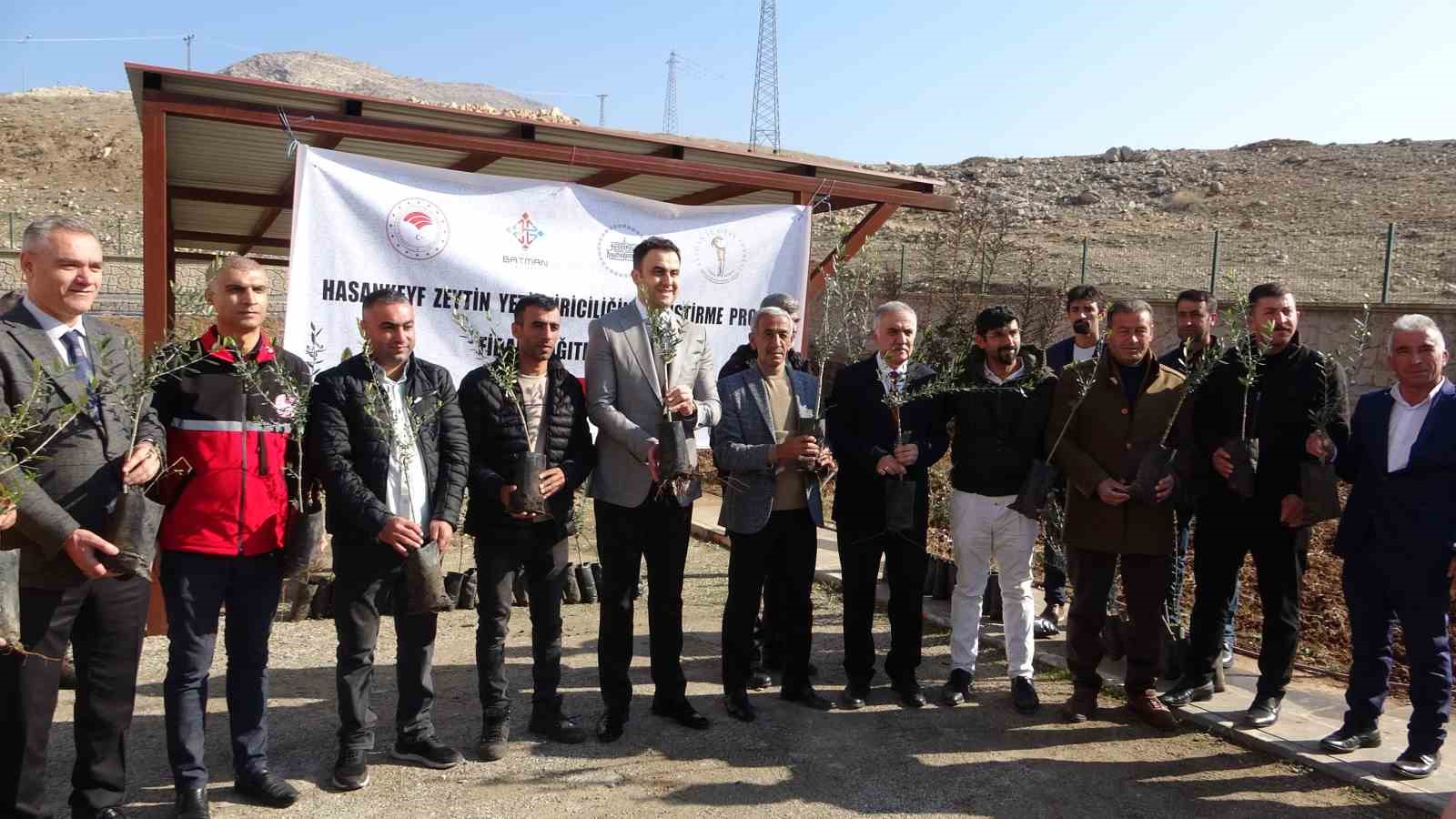 Batman’da 10 bin adet zeytin fidanı dağıtıldı