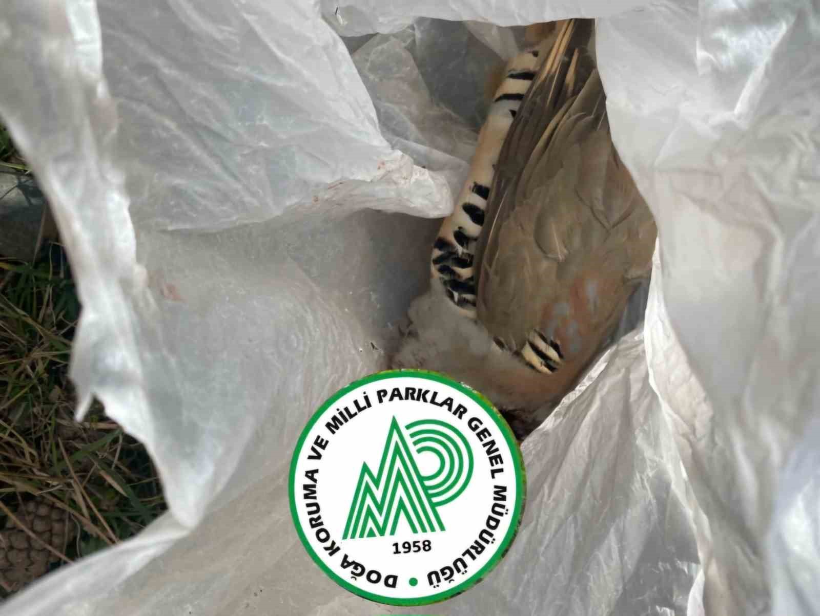 Isparta&rsquo;da ka&ccedil;ak keklik avladığı tespit edilen avcıya idari ve tazminat cezası
