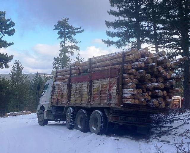 Simav&rsquo;da orman yolunda kalan kamyonların imdadına orman işletme m&uuml;d&uuml;rl&uuml;ğ&uuml; ekipleri yetişti
