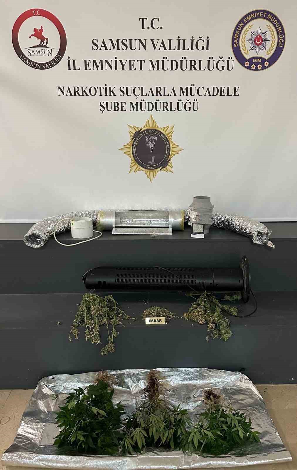 Elbise dolabından kenevir serası