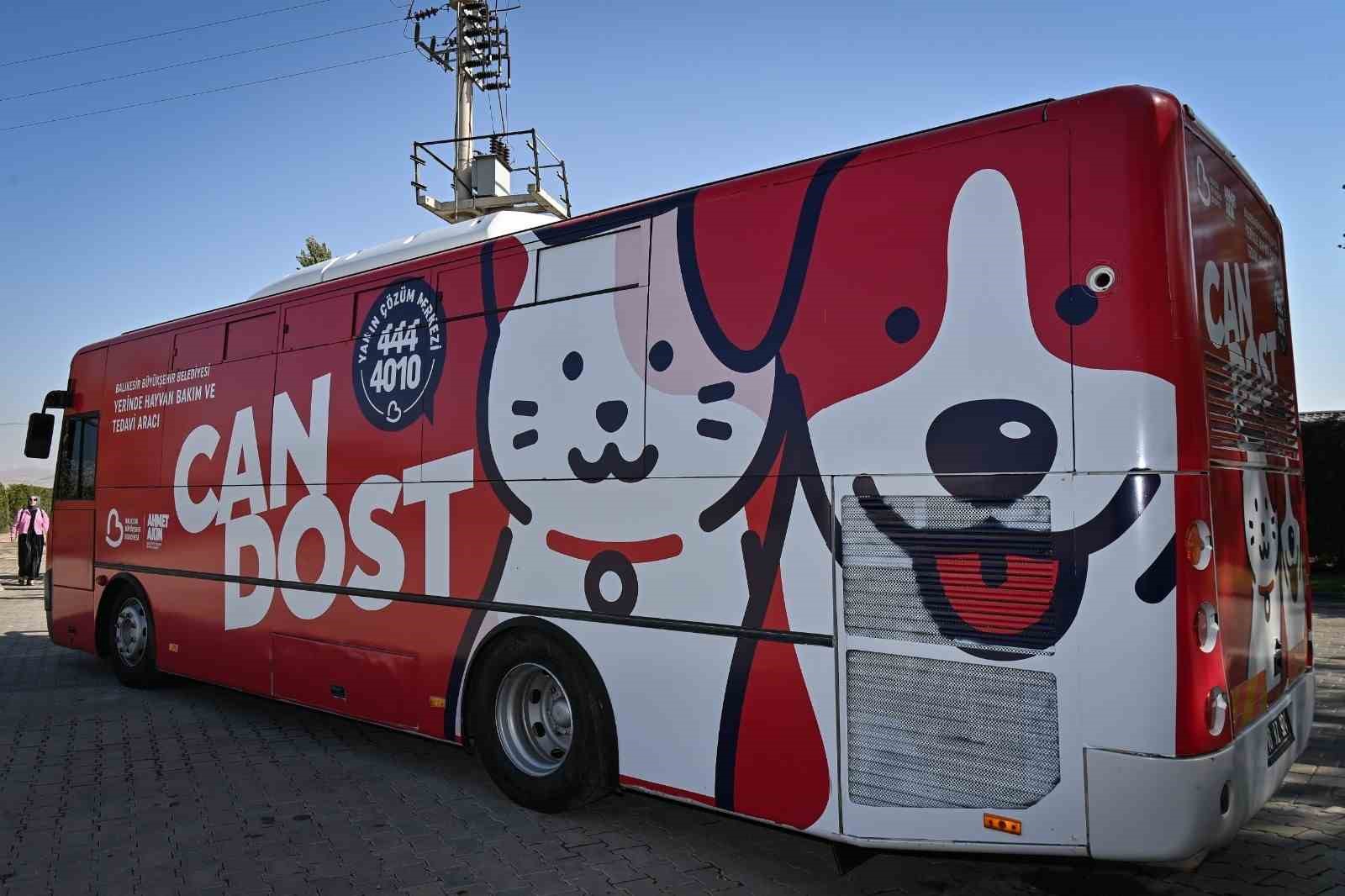 &lsquo;Can Dost&rsquo;la Sokak hayvanlarına &uuml;cretsiz tedavi desteği
