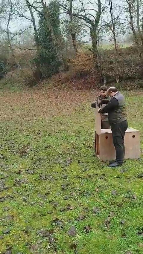 Aracın çarpması sonucu yaralanan çakal, tedavisinin ardından doğaya salındı
