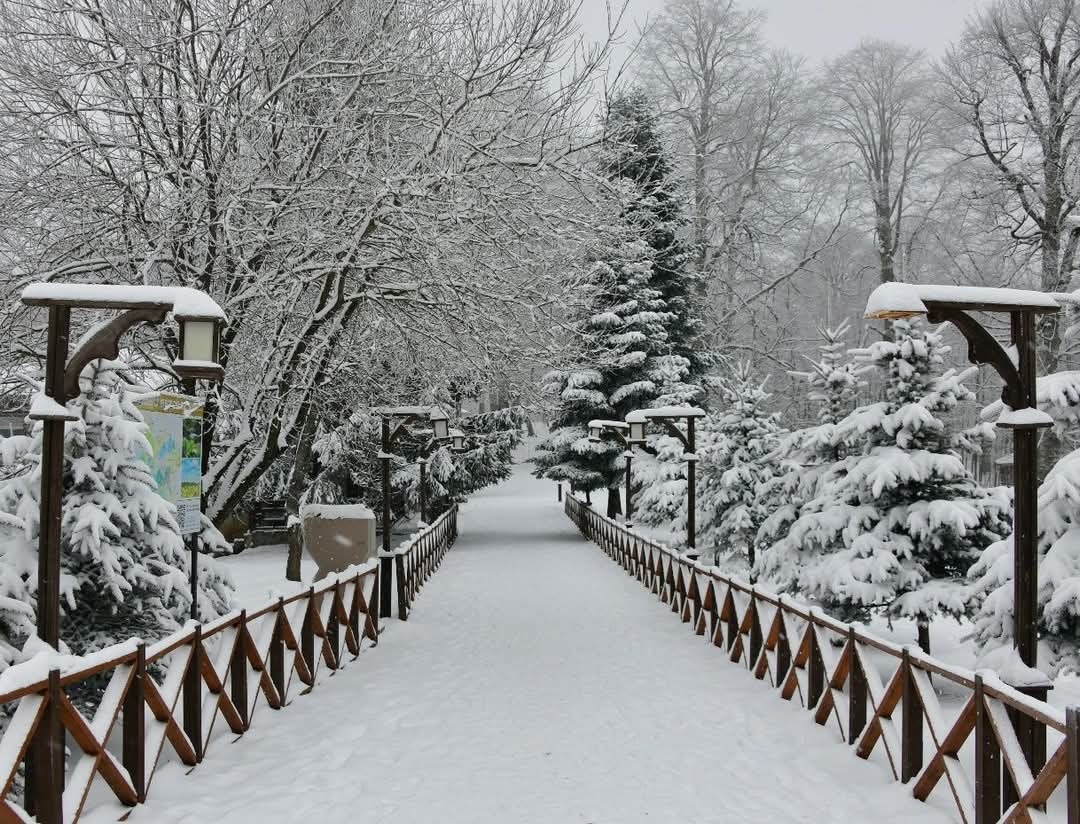 Ordu’nun 16 ilçesinde eğitime kar engeli